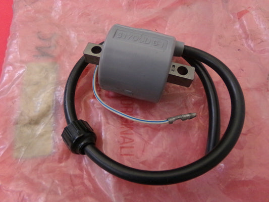 per garelli 125 tiger gta bobina accensione ignition coil kokusan denki 3170cd