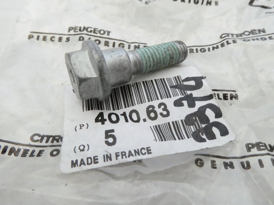 per peugeot citroen vite bullone pompa sterzo screw pump steering 401063