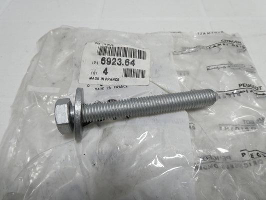 per peugeot citroen vite bullone rondellato bolt vis screw 10 x 80 passo 1,50 692364