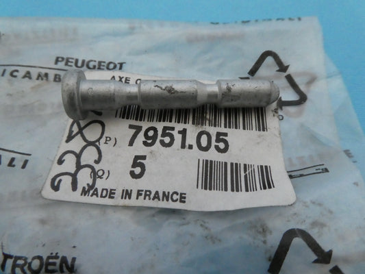 per peugeot citroen vite cofano motore fissaggio screw bonnet axe crochet cap 795105